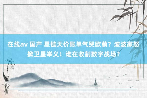 在线av 国产 星链天价账单气哭欧萌？波波家怒掀卫星举义！谁在收割数字战场？