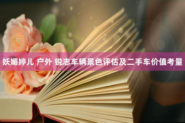 妖媚婷儿 户外 锐志车辆景色评估及二手车价值考量