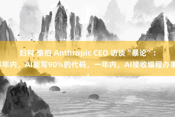 妇科 偷拍 Anthropic CEO 访谈“暴论”：半年内，AI能写90%的代码，一年内，AI接收编程办事！